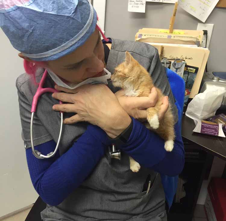 Dr. Kuty and Kitten